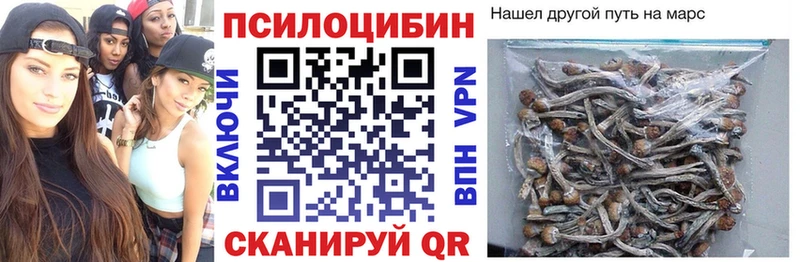 Галлюциногенные грибы Cubensis  Кириллов 