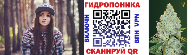 Шишки марихуана гибрид  хочу   Кириллов 
